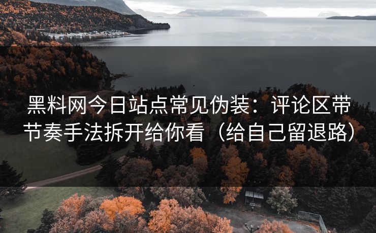 黑料网今日站点常见伪装：评论区带节奏手法拆开给你看（给自己留退路）